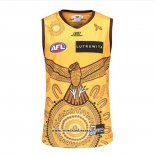Camiseta Hawthorn Hawks AFL 2023 Indigena