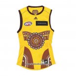 Camiseta Hawthorn Hawks AFL 2022 Indigena