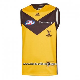 Camiseta Hawthorn Hawks AFL 2020 Segunda