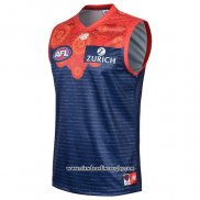 Camiseta Melbourne Demons AFL 2020-2021 Indigena