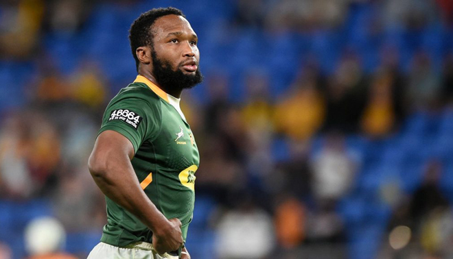 rugby camisetas Sudafrica